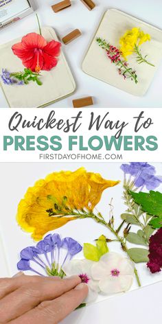 the process to make pressed flowers is easy and fun