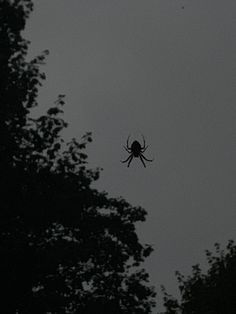 a spider is in the air above some trees