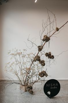 a vase filled with dried flowers on top of a table next to a sign that says nisha studio