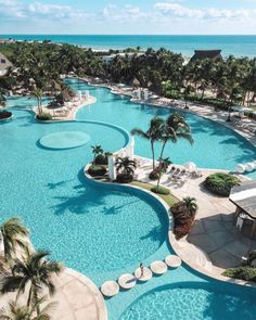 an aerial view of a resort pool with palm trees and the ocean in the background