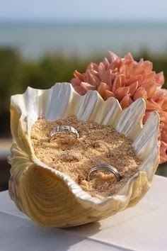 two wedding rings are placed in a seashell