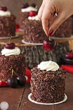 chocolate cake with cherries and whipped cream frosting being served to the camera by two hands