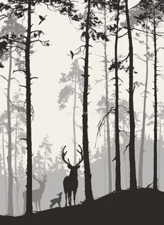 two deer standing in the middle of a forest with birds flying above them and trees