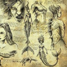 some drawings of mermaids and other creatures