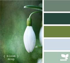 the color scheme is green and gray