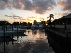 the sun is setting over some boats docked on the water in front of palm trees