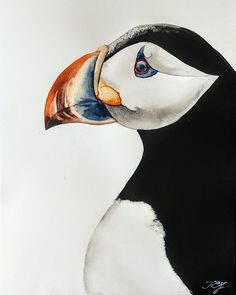 a drawing of a bird with an orange beak