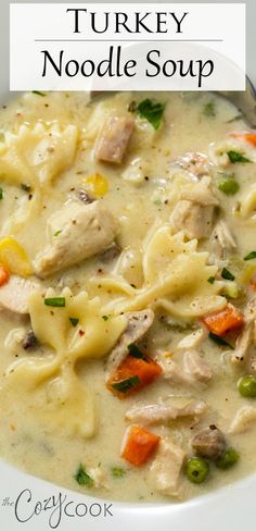 a bowl of turkey noodle soup with noodles and carrots in it, on a white plate