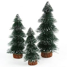 three small pine trees sitting on top of a wooden stump in front of a white background