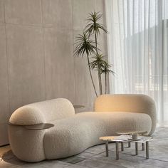 a white couch sitting next to a tall plant in a living room