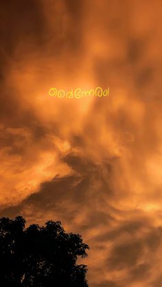 an orange sky with clouds and trees under the word love spelled in bright neon letters