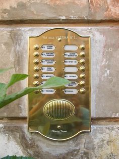 a gold plaque mounted to the side of a stone wall next to a green plant