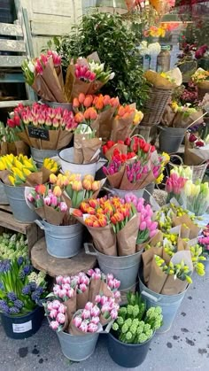 a bunch of flowers that are in buckets