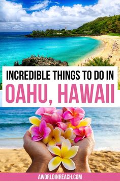 Incredible things to do in Oahu, Hawaii Must See In Oahu Hawaii, Free Things To Do In Honolulu Hawaii, Must Do In Oahu Hawaii, Free Things To Do In Oahu Hawaii, Hawaii On A Budget Families, Oahu Hawaii Things To Do In With Kids, Hawaii Things To Do Honolulu, Best Things To Do In Honolulu Hawaii, What To Do In Oahu