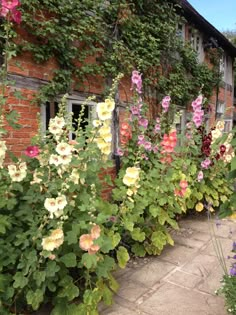 many different colored flowers in front of a brick building with ivy growing on the side