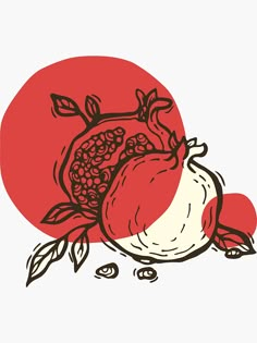 pomegranates with leaves on a white background in the style of hand drawing