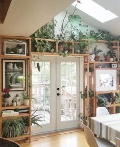 a room filled with lots of potted plants on top of wooden shelves next to a white table