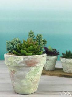 three small succulents are in white pots on a wooden table next to the ocean