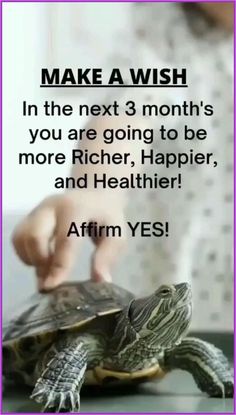 a woman is touching a small turtle with her hand and the caption reads, make a wish in the next 3 months you are going to be more higher, happier, and healthier