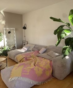 a living room filled with furniture and lots of plants