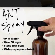 Essential Oils Ants, Ant Spray, Astuces Diy, Homemade Cleaning Products, Ad Hoc, Young Living Oils, Household Cleaning Tips, Cleaning Recipes, Cleaners Homemade