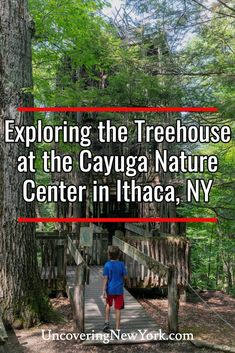 a man walking across a bridge in the woods with text reading exploring the treehouse at the cayga nature center in thaca, ny