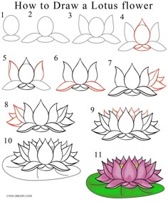 how to draw a lotus flower step by step instructions for beginners and advanced students