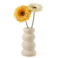 two yellow and white daisies in a vase on a white background with space for text