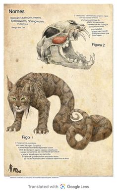 an animal's head and body are shown in this poster, with information about the different types of animals