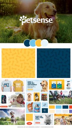 an image of a dog in the grass with blue and yellow squares on it,