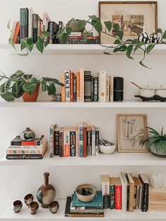 some books and plants are sitting on the shelves