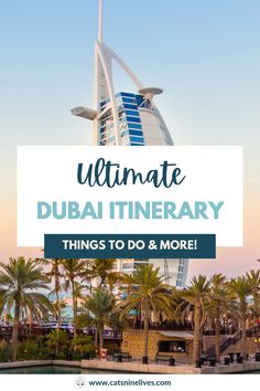 the top things to do and see in dubai