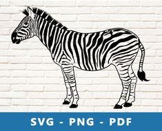 a zebra standing in front of a brick wall with the words svg - png - df