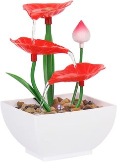 three red flowers in a white pot with rocks and pebbles on the bottom, one flower is blooming