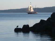 a sailboat sailing in the ocean near rocks