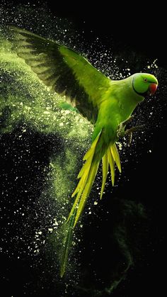 a green bird flying through the air with it's wings spread out and its body covered in water