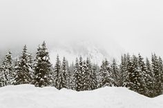 a man riding skis down the side of a snow covered slope next to evergreen trees