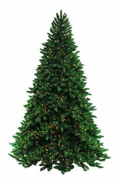 a large christmas tree with lights on it's sides and the top half turned down