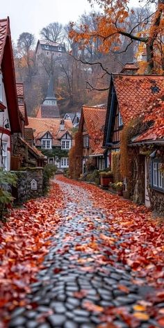 a cobblestone road with autumn leaves on the ground and houses in the background