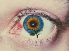 an eye with a flower in the iris