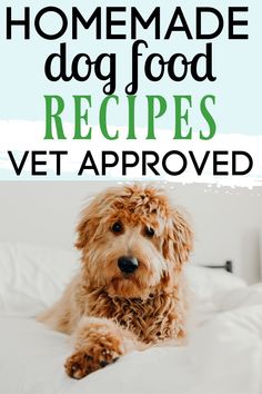 a dog sitting on top of a bed with the words homemade dog food recipes vet approved