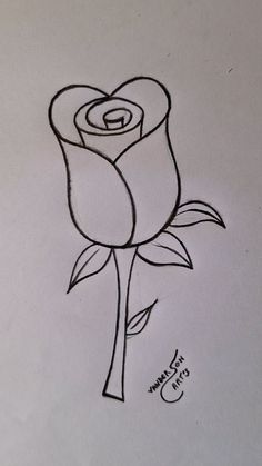 a drawing of a single rose on paper