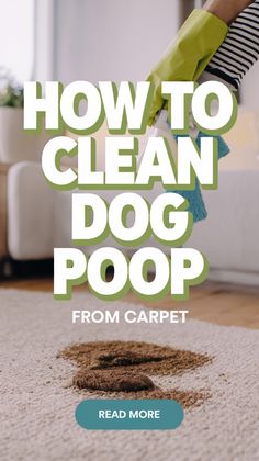 how to clean dog poop from carpet with text overlay that reads, how to clean dog poop from carpet