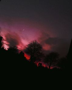 the sky is purple and red as it sets in the distance with trees silhouetted