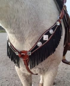 a close up of a horse wearing a bridle with beads and fringes