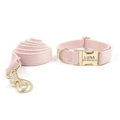 a pink dog collar and leash with a name tag on the front, along with a gold plated metal hook