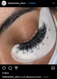 Eyelash Extension Map, Lash Maps, Eyelash Studio, Lash Mapping, Lashes Fake Eyelashes, Lashes Tutorial, Eyelash Tips, Eyelash Technician, Lash Extensions Styles