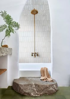 a bath room with a stone bench and a potted plant