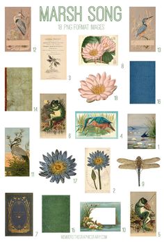 a bunch of cards that have flowers and birds on them with the words marsh song