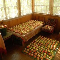 there are many apples laid out on the floor in front of two beds and windows